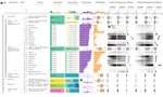 Taggle: Combining Overview and Details in Tabular Data Visualizations